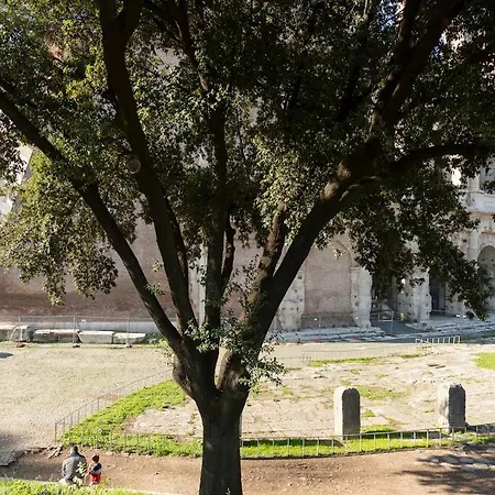 Silence Next To The Colosseum 아파트