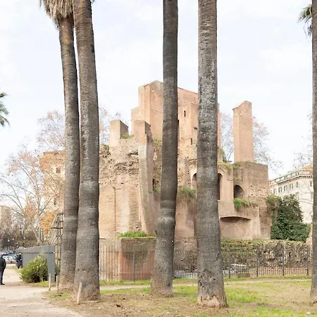 Silence Next To The Colosseum روما